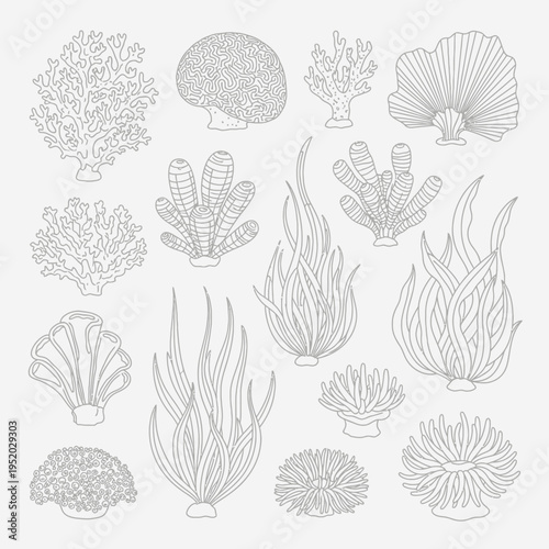 Ocean Coral Reef Plants and Seaweed Collection - Vector Illustration