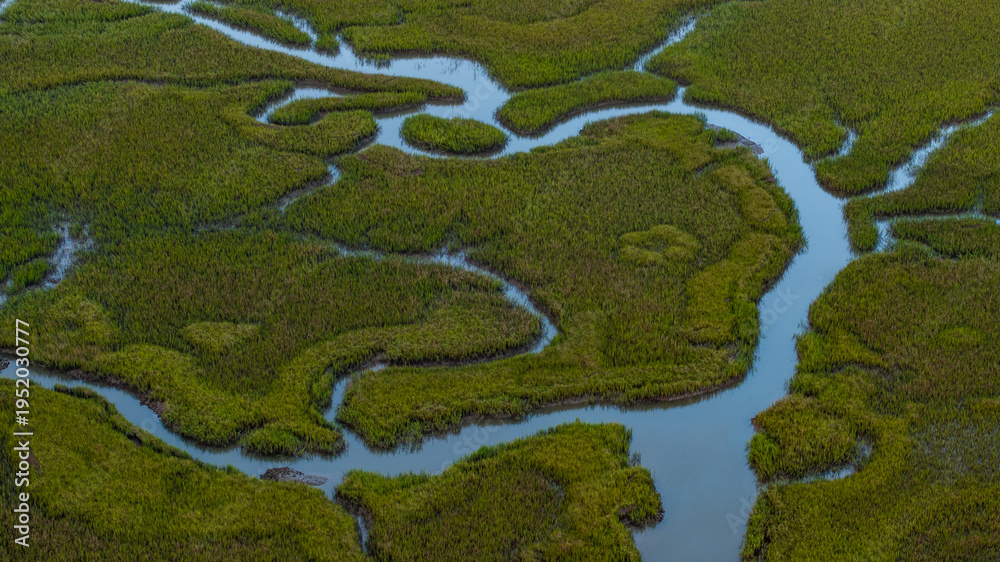 Naklejka premium Aerial view of lowcountry landscapes near Charleston, South Carolina showcasing natural meandering waterways and marshlands