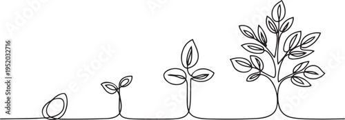 Minimalist continuous line art showing plant evolution stages. Drawing features seed sprout seedling and full leaf branches. .
