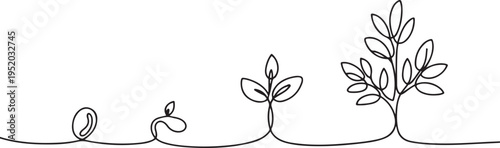 Minimalist continuous line art showing plant evolution stages. Drawing features seed sprout seedling and full leaf branches. 
