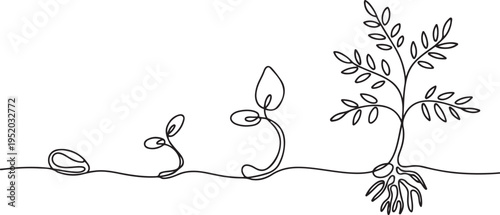 Minimalist continuous line art showing plant evolution stages. Drawing features seed sprout seedling and full leaf branches. 