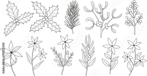 A Set of Hand-Drawn Holiday Plants and Flowers Including Holly, Mistletoe, and Pine for Seasonal and Winter Themes