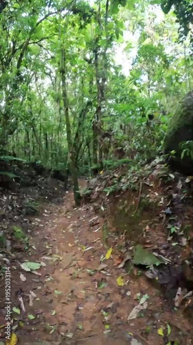 Time lapse caminhando na trilha na cidade de Araponga, região da Serra do Papagaio, Estado de Minas Gerais, Brasil