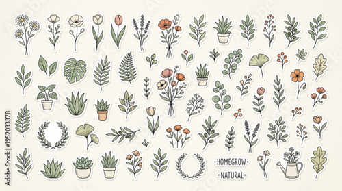 Collection of hand drawn botanical elements and floral illustrations featuring delicate wildflowers potted houseplants succulent plants herbs and leafy branches rendered
