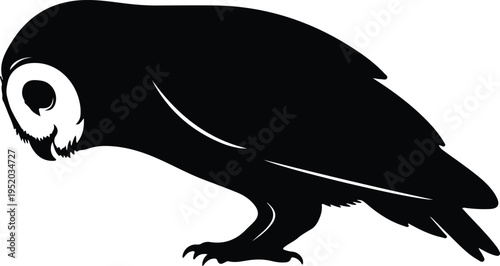 Foto Silhouette elegant barn owl wild bird predator nature symbol vector design