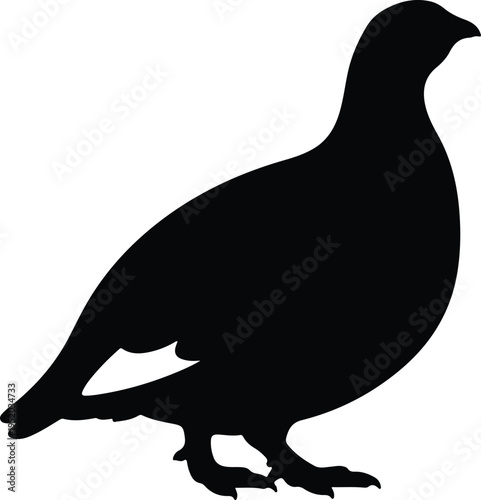 Canvas Print Silhouette detailed partridge grouse wild bird side profile vector design