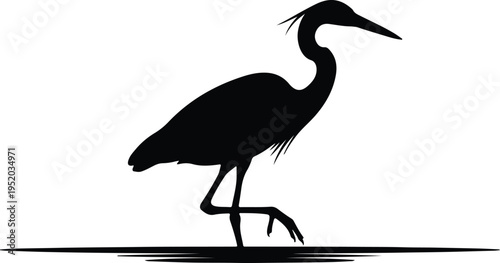 Photos Silhouette of a great blue heron standing in calm water vector design