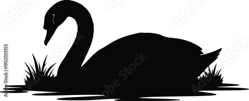 Silhouette swan swimming in a lake with grass and water vector design