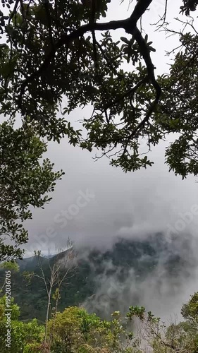 Vista do alto da serra na cidade de Araponga, região da Serra do Papagaio, Estado de Minas Gerais, Brasil