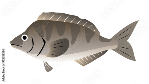 シンプルでかわいいホッケのイラスト　食べ物・魚のベクター素材