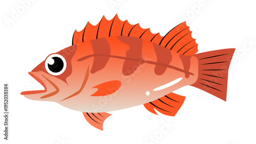 シンプルでかわいいメバルのイラスト　食べ物・魚のベクター素材