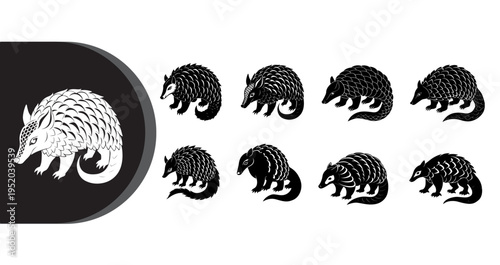 A collection of various armadillo illustrations in black and white on a clean background