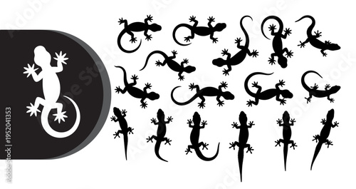 A collection of lizard silhouettes on a white background with a black and white design