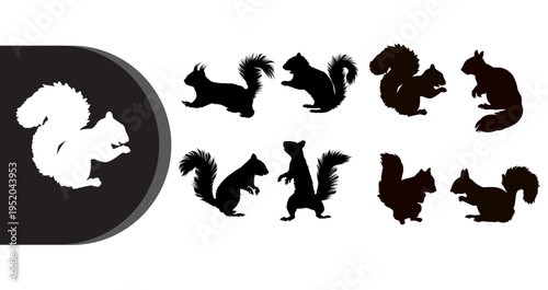 A collection of squirrel silhouettes in various poses on a white background