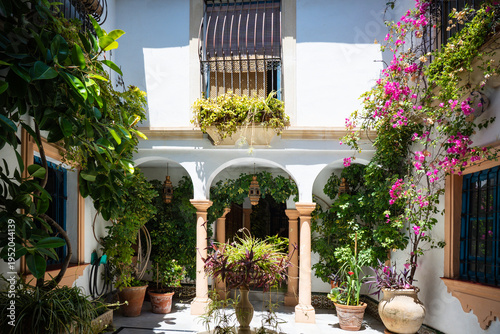 traditional Andalusian courtyard filled with potted plants in Cordoba, Spain