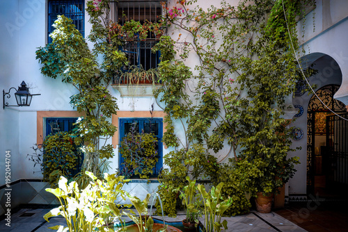 tranquil and lushly decorated interior courtyard in Cordoba, Spain