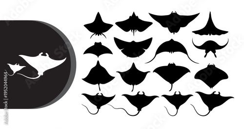 A collection of black and white stingray silhouettes on a clean background
