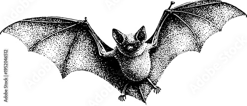 Bat in night sky with black and white stippling effect for art and design