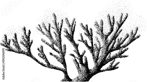 Black and white stippling illustration of coral reef branch structure for ocean conservation design