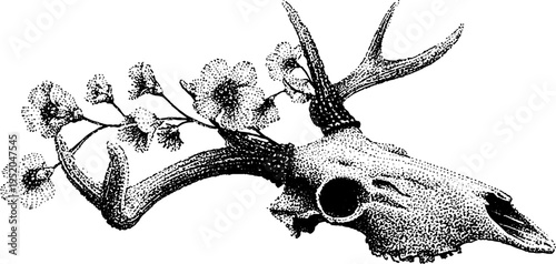 Nature and mortality: deer skull with blooming flowers in halftone design