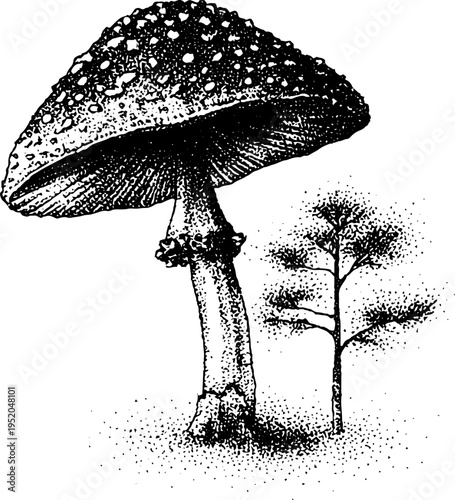 Black and white stippled forest mushroom with spotted cap for vintage designs