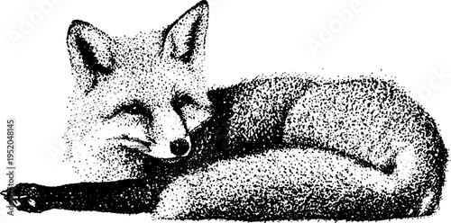 Black and white fox in stippling dotwork style for artistic design