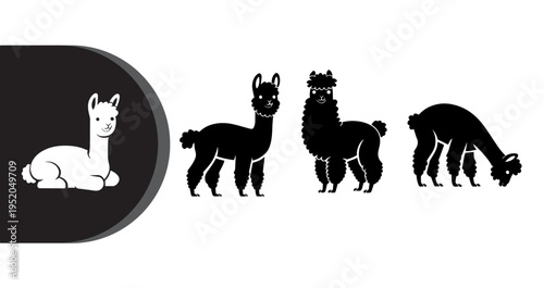 A group of alpacas in various poses on a white background