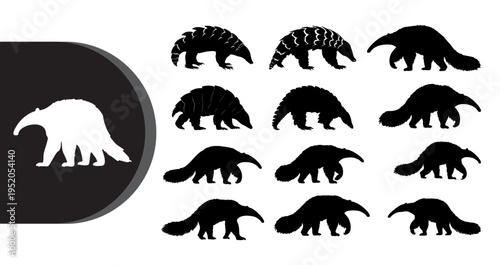 A collection of various armadillo silhouettes on a white background
