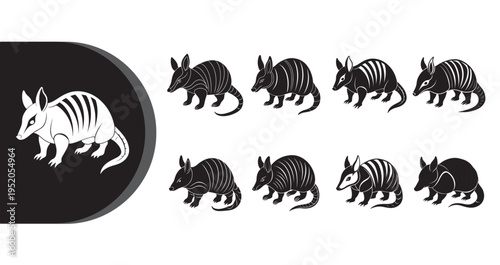 A collection of armadillo illustrations in various poses and colors on a white background