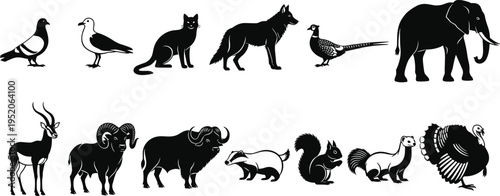 Wild and domestic animal silhouette collection including birds, cat, dog, elephant, antelope, ram, buffalo, squirrel and turkey black vector wildlife icons set