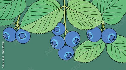 Blueberries hang on branches among green leaves in a simple and bright setting with a focus on nature and fruit