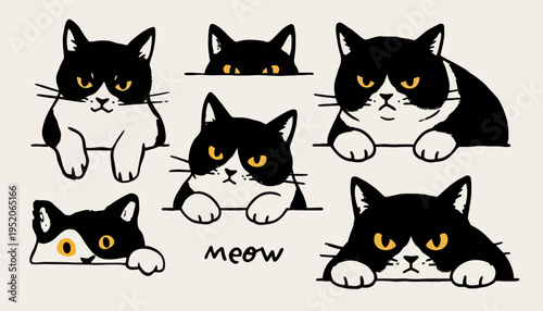 Collection of cute black and white cats with orange eyes peeking