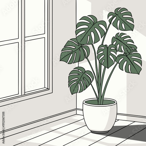 Potted indoor plant placed by a window adding natural beauty to a home interior