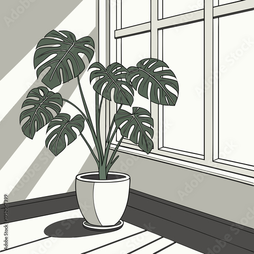 Indoor plant in a pot placed on a window sill with natural light and home interior decor
