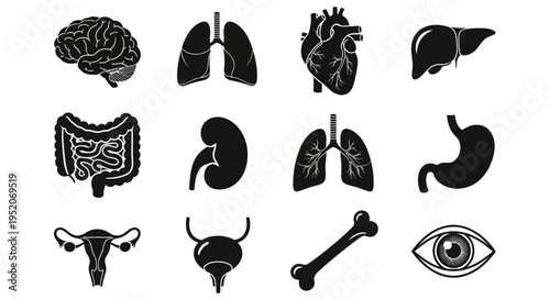 Comprehensive Set of Human Internal Organs and Body Parts in Black Silhouette for Medical Education and Healthcare Design