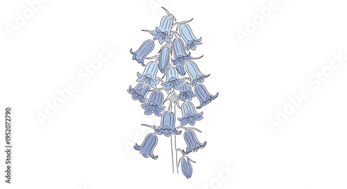 Closeup of purple flower bunch.