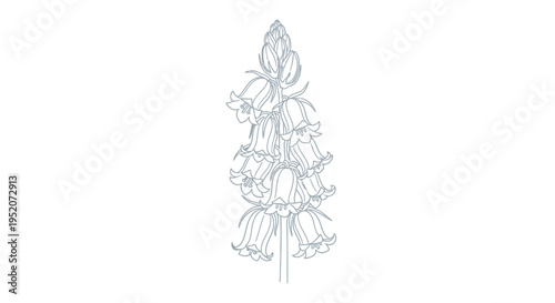 Detailed illustration of a flower.