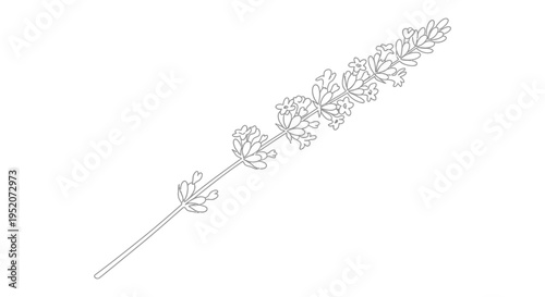Intricate silver hair comb accessory.