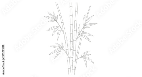 Bamboo plant with green leaves.