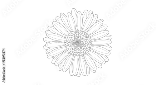 Detailed drawing of a flower.