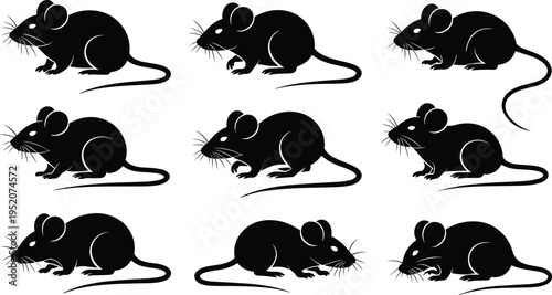 Mouse silhouette set, rat rodent vector collection, small rodent animal silhouettes isolated wildlife pest illustration pack