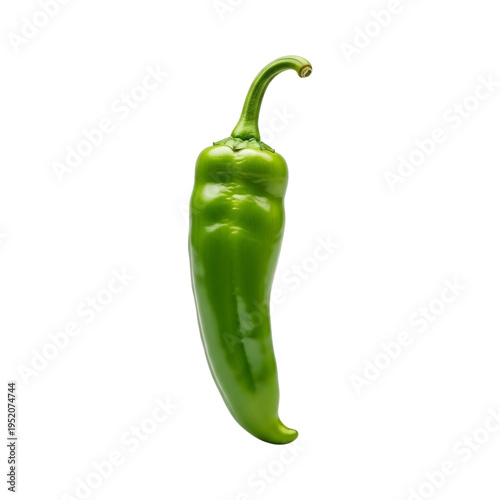 A single fresh green anaheim pepper with a smooth shiny skin and a curved stem standing upright