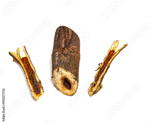 Фотография Collection of images with different types of biotic damage: from defoliation by