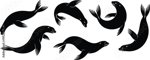 Seal silhouettes vector set, sea lion swimming poses illustration, marine mammal wildlife icons, ocean animal silhouette collection design