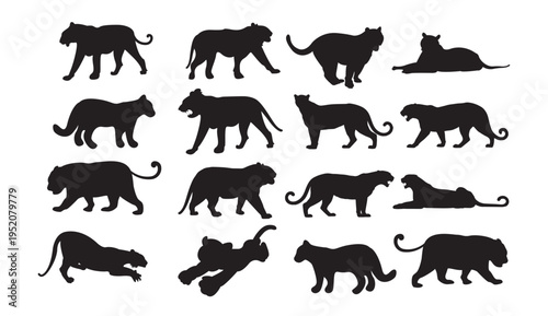 A collection of black silhouettes of various big cats in different poses