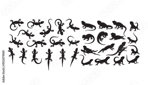 A collection of various lizard silhouettes on a white background