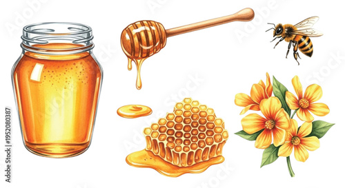 Watercolor Honey Set with Jar Dipper Honeycomb Bee and Flowers Isolated Illustration