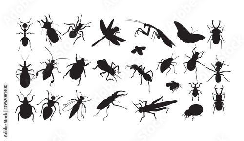 A collection of various insect silhouettes on a white background
