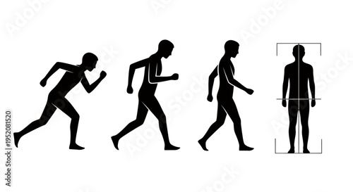 Human Evolution Sequence from Ape to Modern Man with Height Assessment.