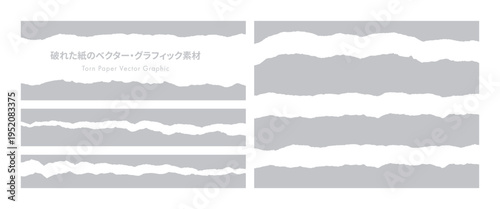 破れた紙のベクター・グラフィック素材（Grey）